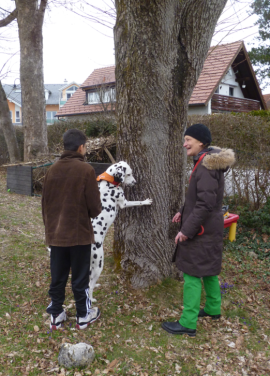 Ein Kind gibt dem Hund Kommandos, sodass der Hund mit den Vorderpfoten an einem Baum hoch geht.