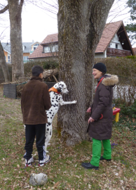 Ein Kind gibt dem Hund Kommandos, sodass der Hund mit den Vorderpfoten an einem Baum hoch geht.